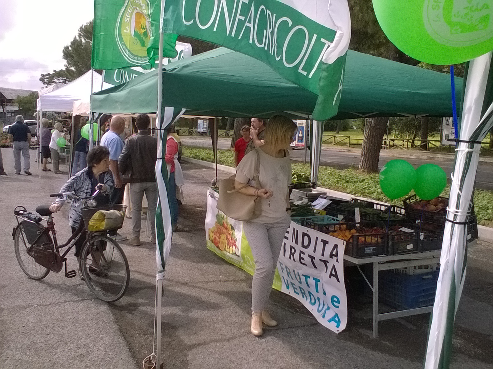 WP_20170525_09_42_23_Pro