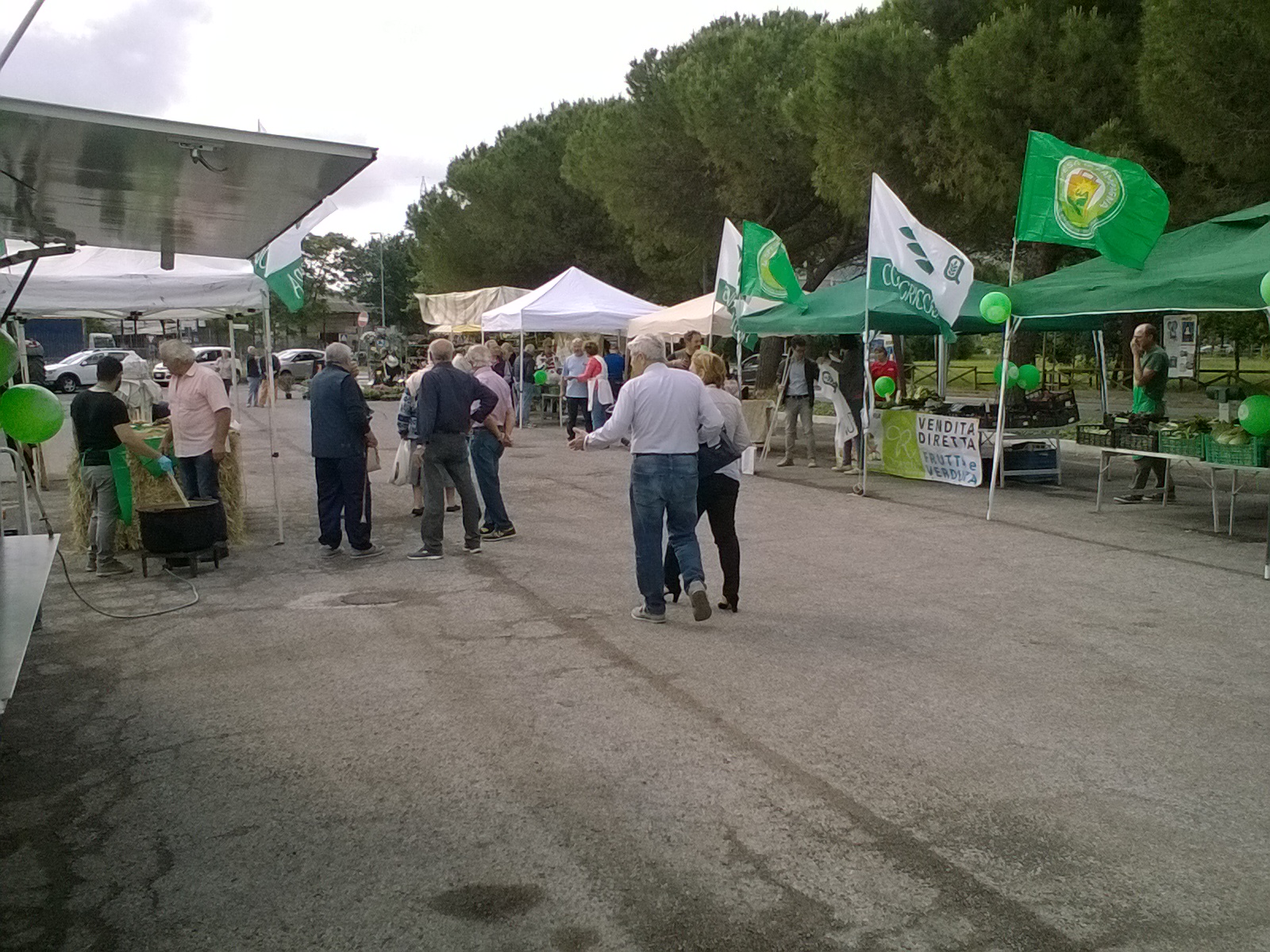 WP_20170525_09_42_59_Pro