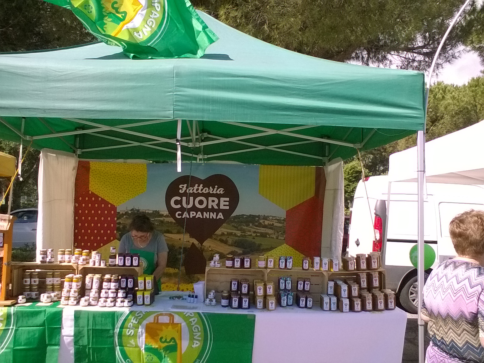 WP_20170525_10_04_40_Pro