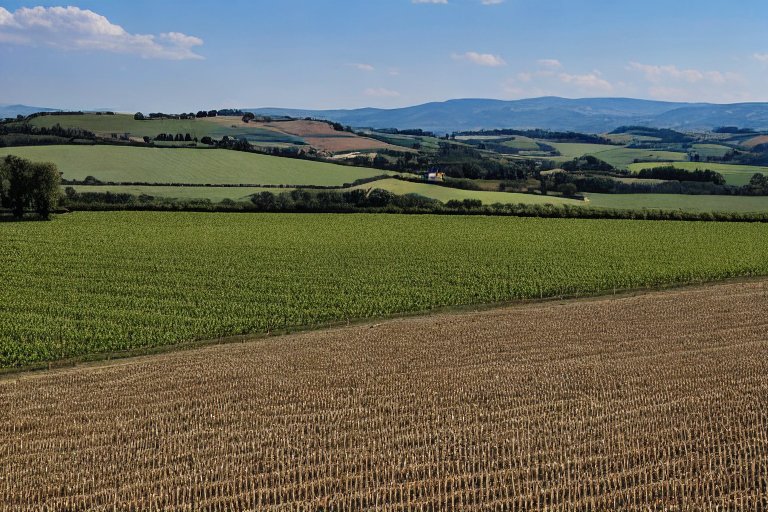 “Le leggi delle donne che hanno cambiato l’Italia” 28/03/2025 Senigallia (AN)