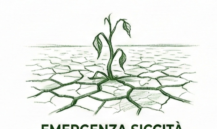 Siccità Marche: Colture in Sofferenza e Riserve al Limite. Cia: Urgente Investire in Nuovi Bacini Idrici