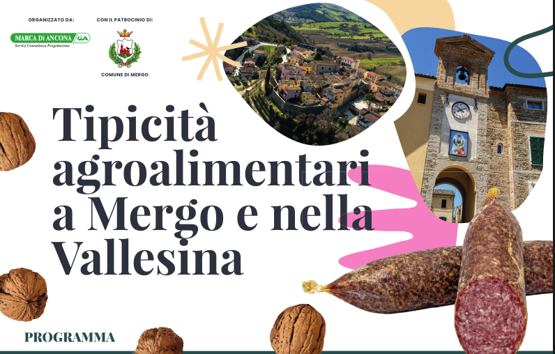 Notizia