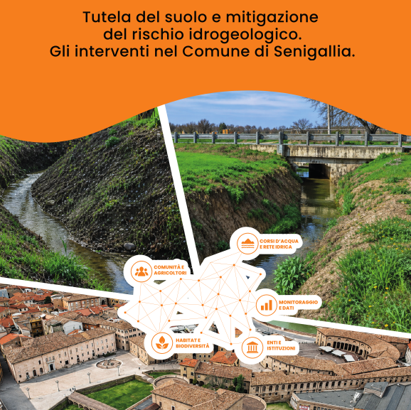 Notizia